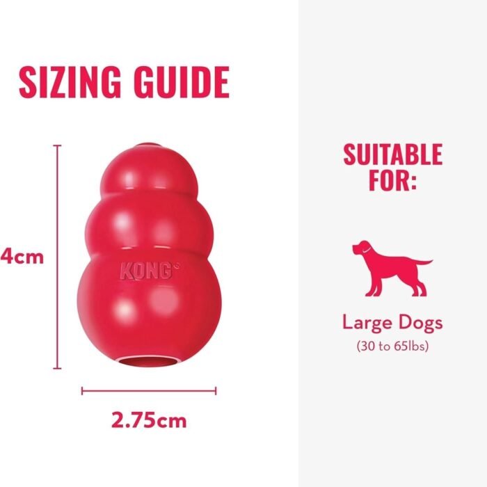 61EMyScxL._AC_SL1500.jpg 61EMyScxL._AC_SL1500.jpg