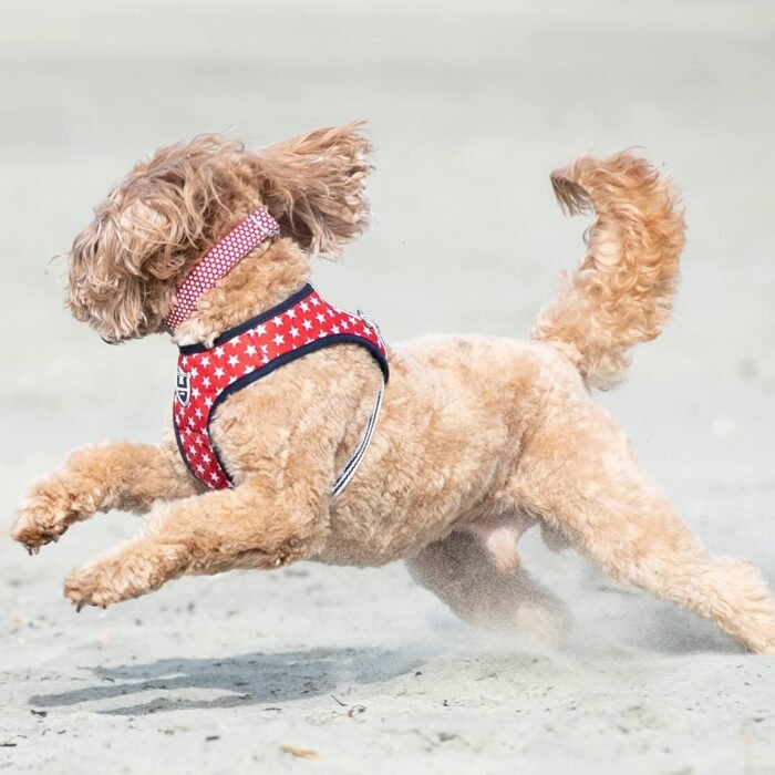 711unJ-SHIL._AC_SL1500.jpg 711unJ-SHIL._AC_SL1500.jpg