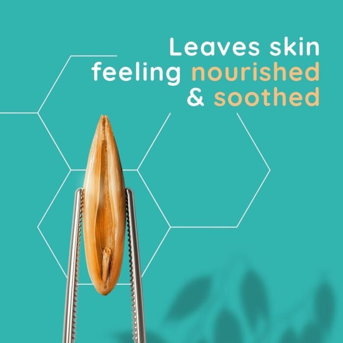 71RL39SyIuL._AC_SL1500.jpg 71RL39SyIuL._AC_SL1500.jpg