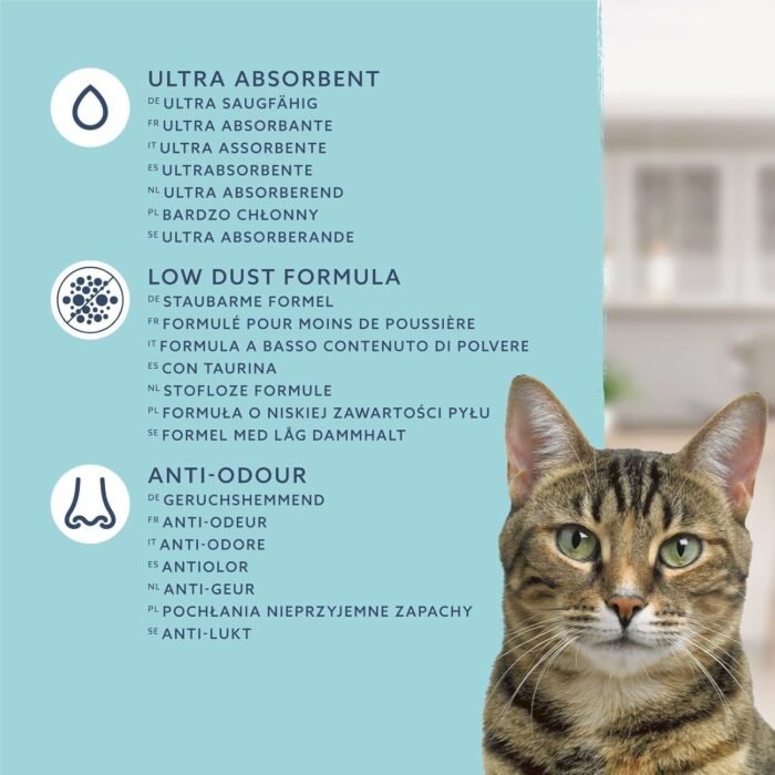 71nXamg69BL._AC_SL1500.jpg 71nXamg69BL._AC_SL1500.jpg